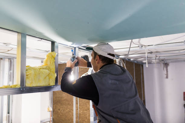 Best Professional Insulation Contractor  in Elba, AL