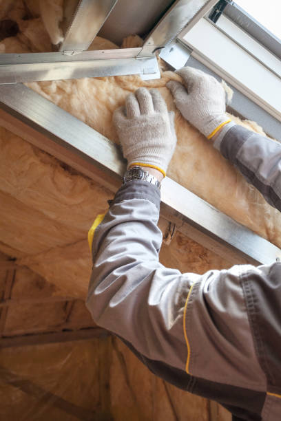 Best Affordable Insulation Services  in Elba, AL