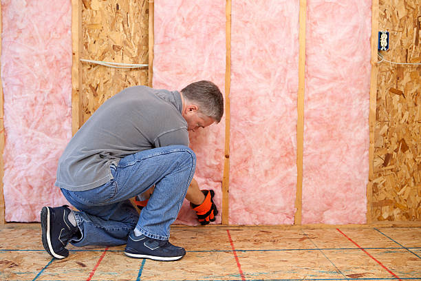 Best Best Insulation Companies  in Elba, AL