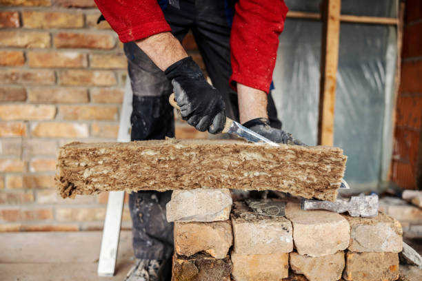 Best Attic Insulation Installation  in Elba, AL