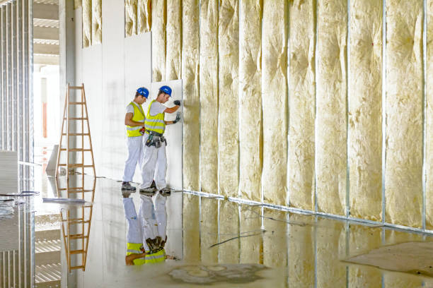 Best Home Insulation Services  in Elba, AL